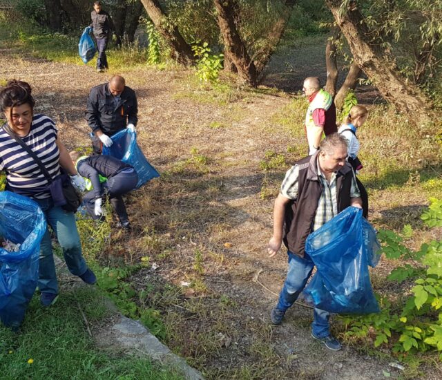 У акцији „За лепши и чистији Савски Венац“ очишћена обала од Чукаричког рукавца до моста Газела