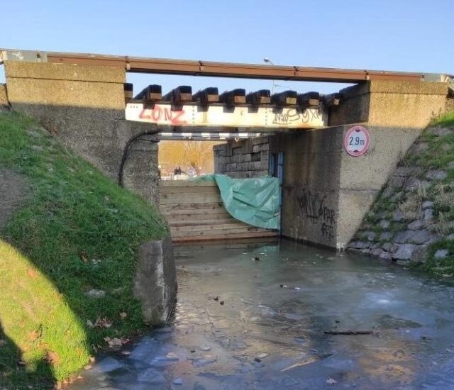 Ванредна одбрана од поплава код Куле Небојше